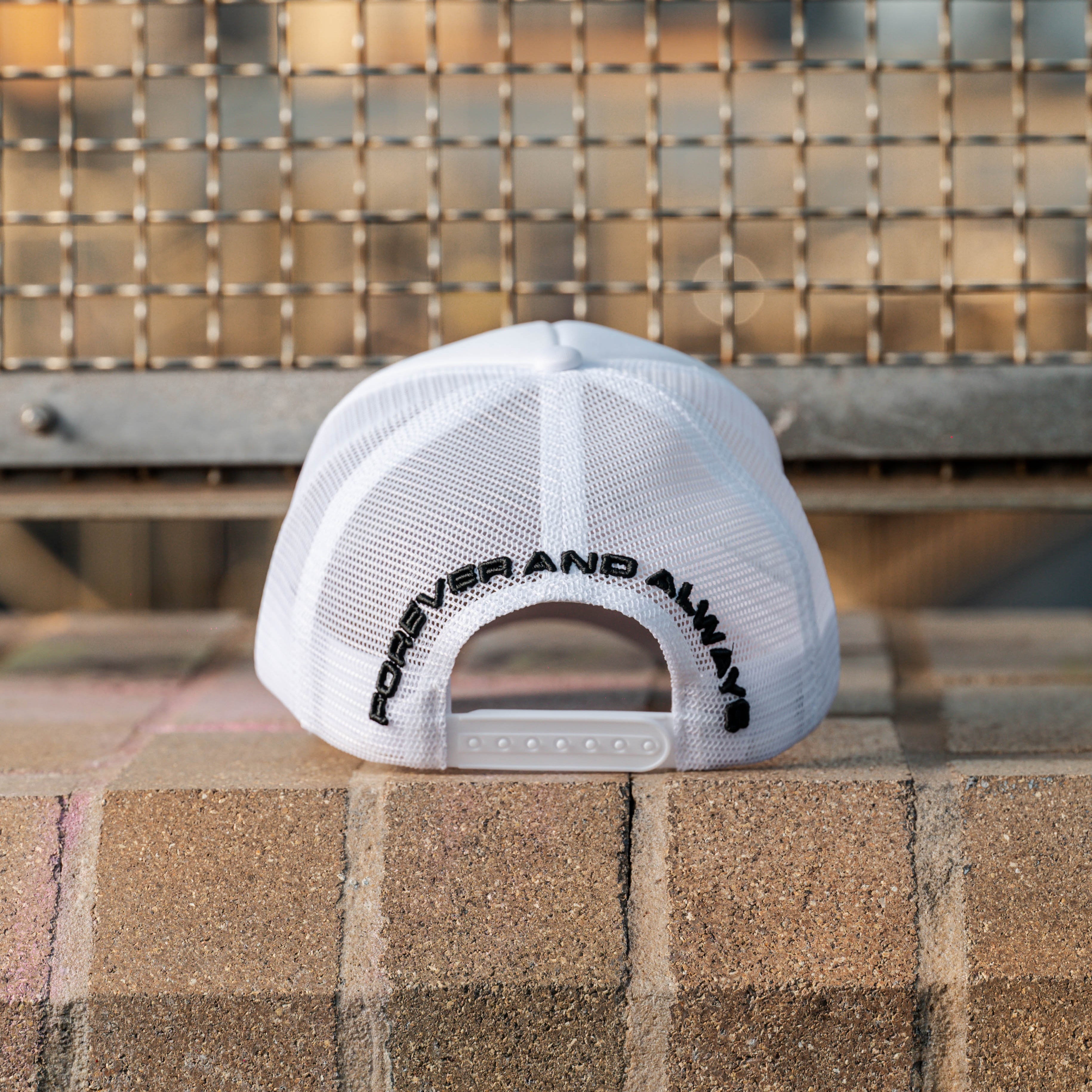 Evolved Dtachit White Trucker Hat