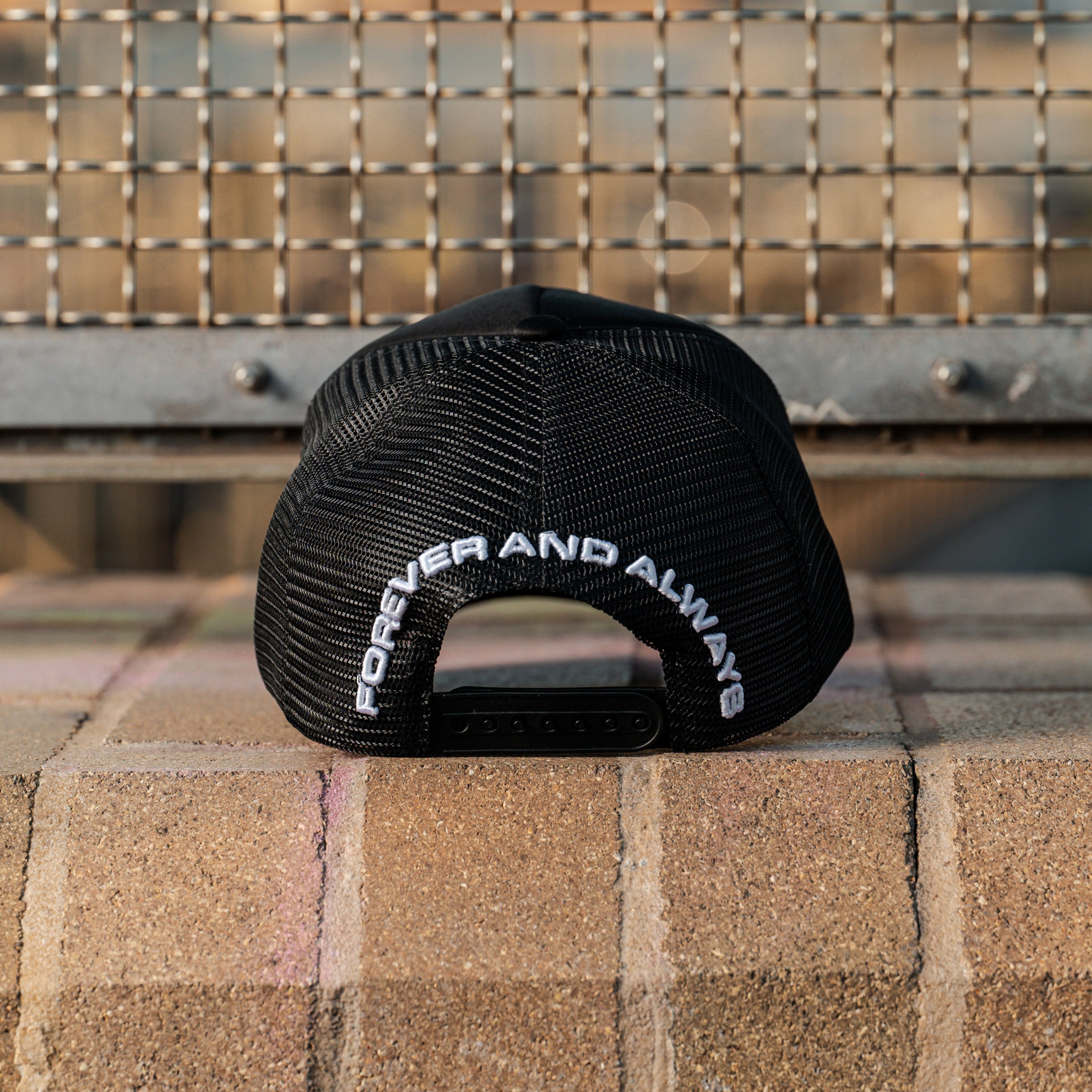 Evolved Dtachit Black Trucker Hat