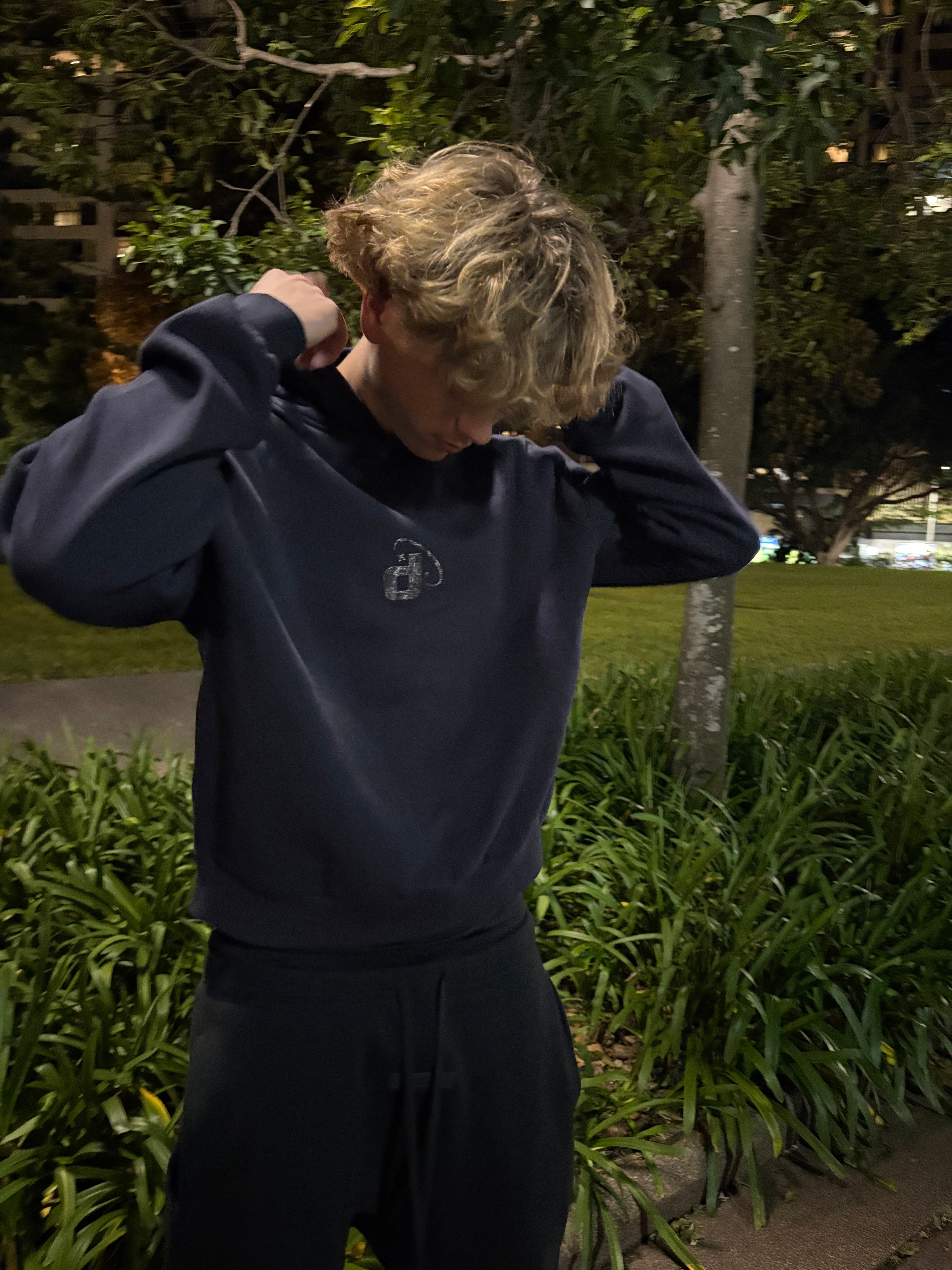 Dtachit DStar Hoodie